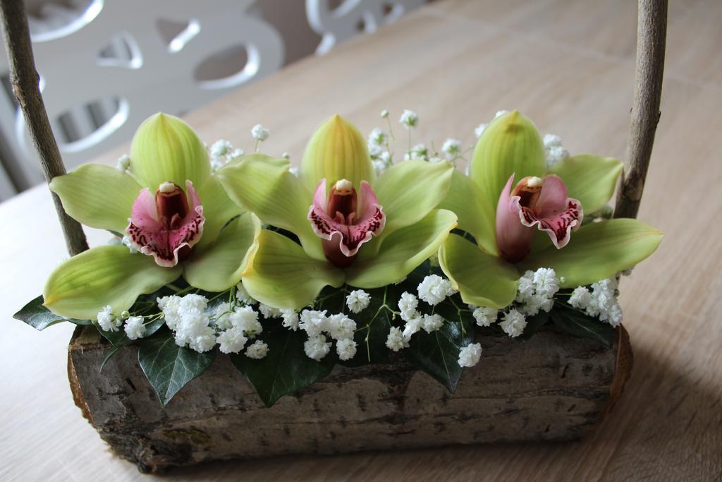Orchid House * Belgrad