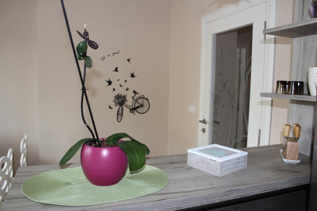 Apartament Orchid House Belgrad